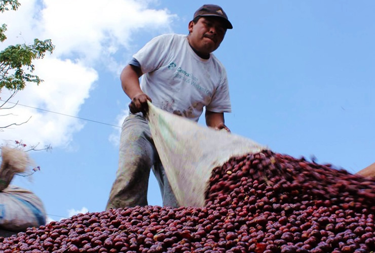 SDGs安心安全な食の取り組み