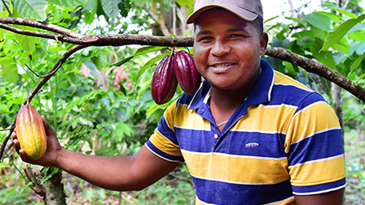 オーガニックのチョコレート