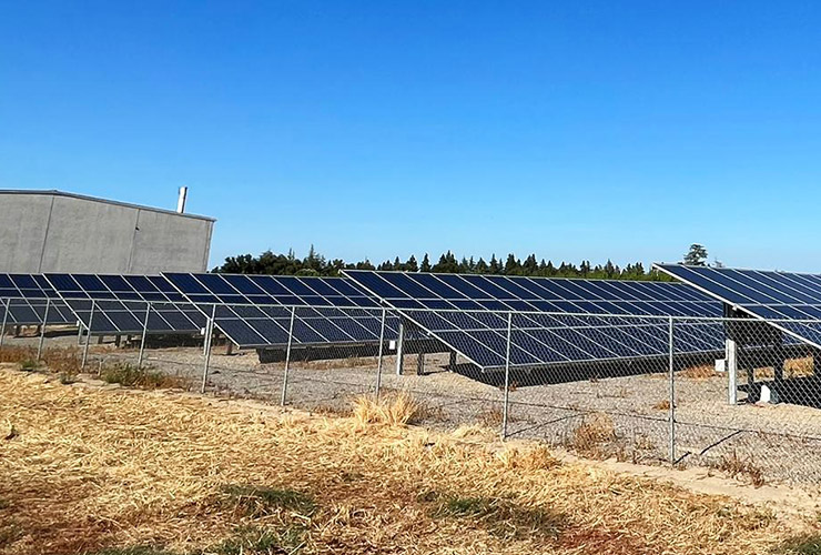 プルーン生産者紹介