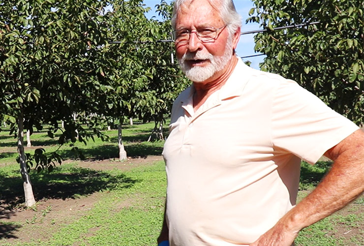 くるみ生産者紹介