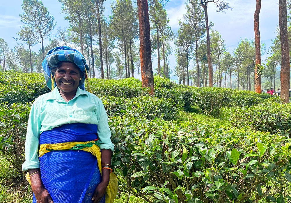 心温まる、歓迎とおもてなし