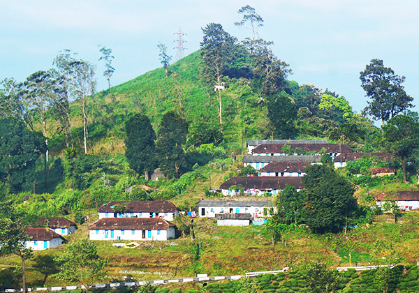 農園内のワーカーたちの住居