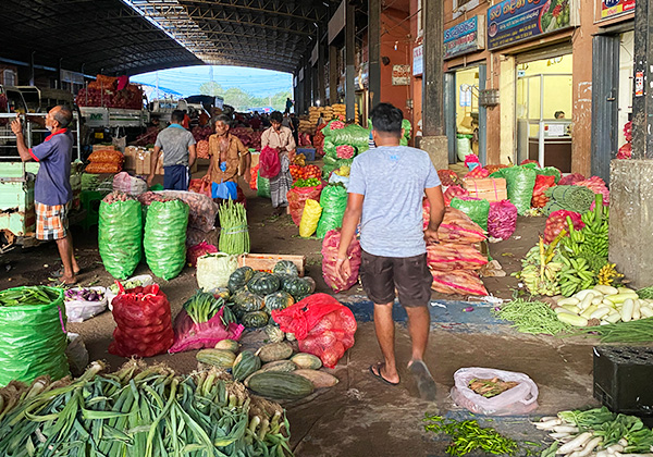 でかポロシャツに爆笑のシェラン