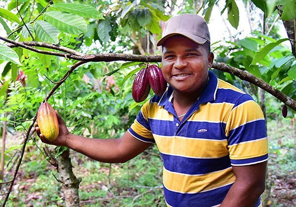 フェアトレードプレミアムで建てられた小学校