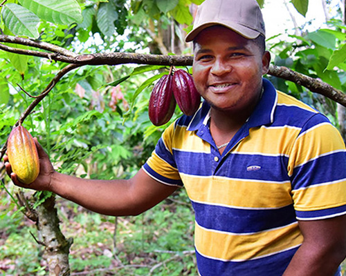 こだわり食品生産者バナー